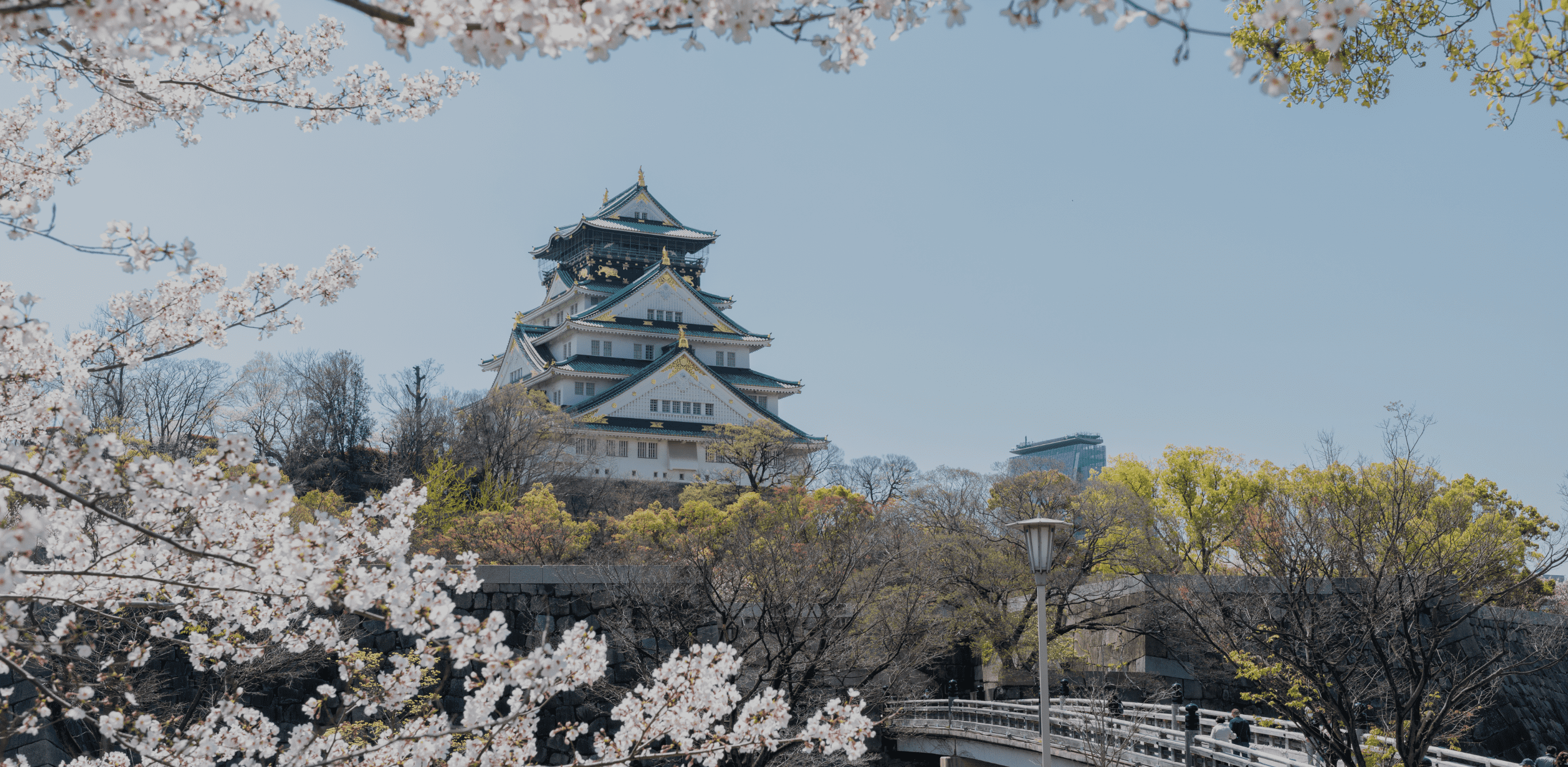  大阪城の風景画像